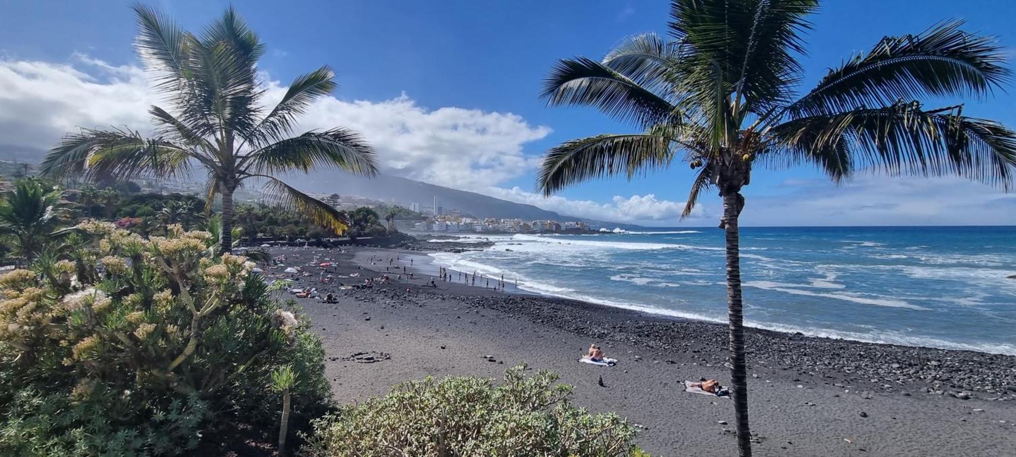Garden Beach Studio Lägenhet Puerto de la Cruz  Exteriör bild